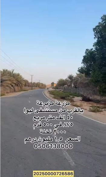 Farm for sale in Maziraa near Liwa Hospital