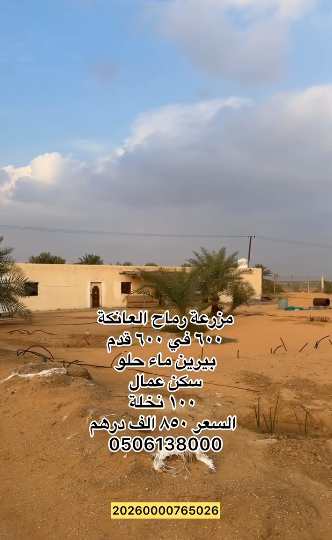 مزرعة رماح العانكة – 850