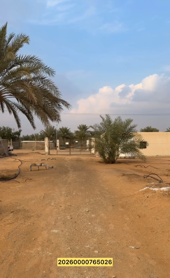 مزرعة رماح العانكة – 850