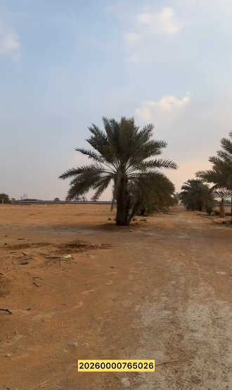 مزرعة رماح العانكة – 850