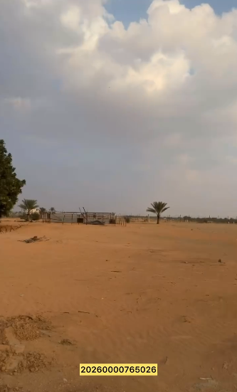 مزرعة رماح العانكة – 850