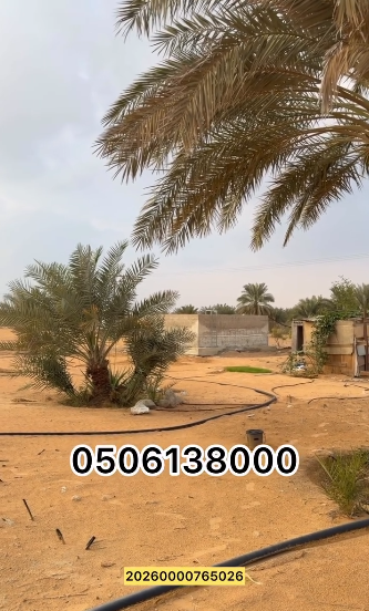 مزرعة رماح العانكة – 850