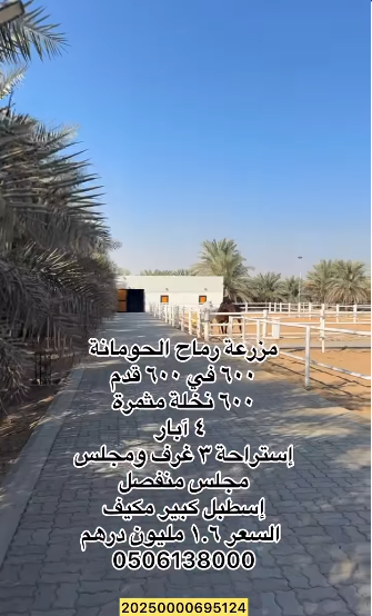 Farm for sale, Rumah Al-Houmana, Al-Anka