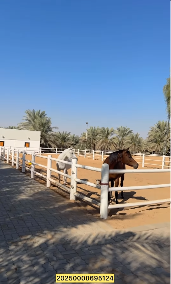 Farm for sale, Rumah Al-Houmana, Al-Anka