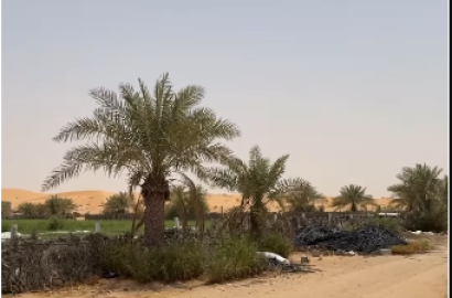 Sweihan Farm For Sale, side of Ramla