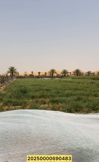 مزرعة للبيع سويحان طرف رملة