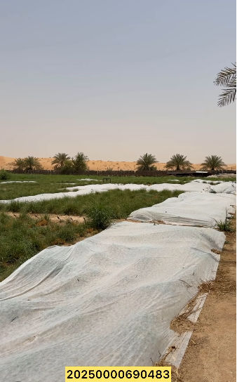 مزرعة للبيع سويحان طرف رملة