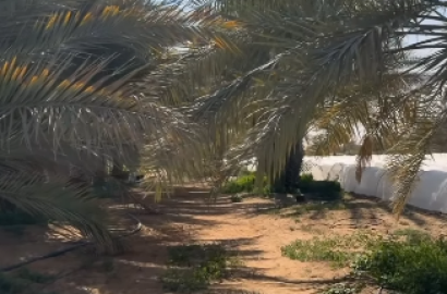 Saih Haraz Farm, Block 20