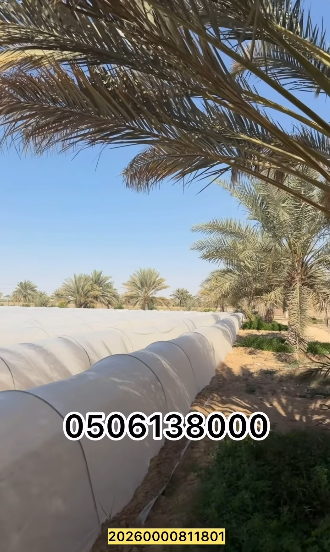 Saih Haraz Farm, Block 20